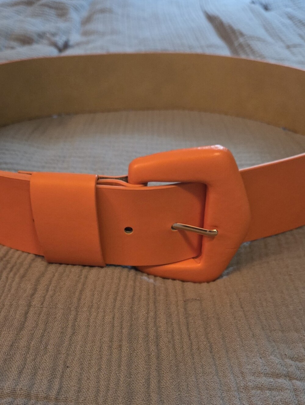 Wide Orange ELOQUII BELT